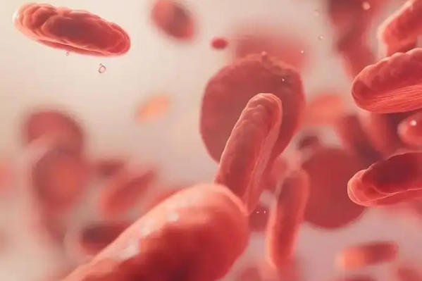 地贫夫妻可以<a href=