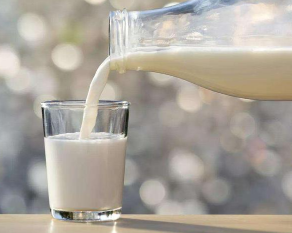 牛奶富含优质蛋白