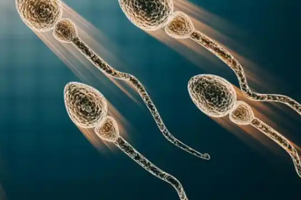 AB级精子总活力20%也可以做二代试管