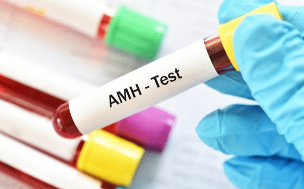 AMH值小于1离绝经的时间 AMH值小于1离绝经的时间