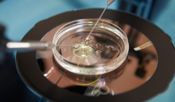 一代试管胚胎养成囊胚后能进行胚胎检测吗?