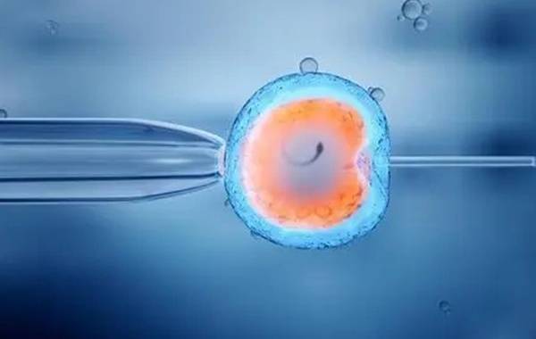 第5天的冻囊胚移植最快3-7天移植成功
