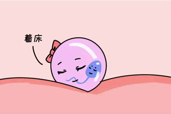 胚胎着床后会经历放屁的早孕反应