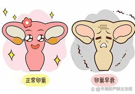 小周34岁备孕两年没怀上，闺蜜：去做人工授精还是试管？我也分不清