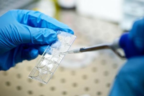 天津试管婴儿价格多少钱？过来人梳理5笔费用明细