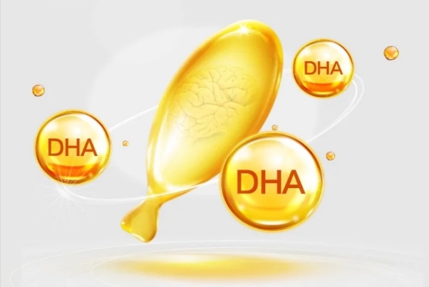 不同群体补充dha时间不一样