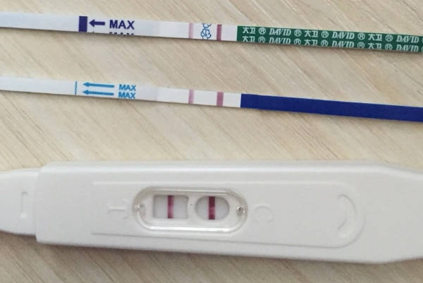 早早孕验孕棒的速度更快