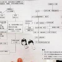 香港做试管婴儿可以选择男女性别吗？合法条件与真实流程一次说清