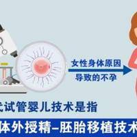 44岁高龄试管还能做吗？2026年新颖政策与门槛解析