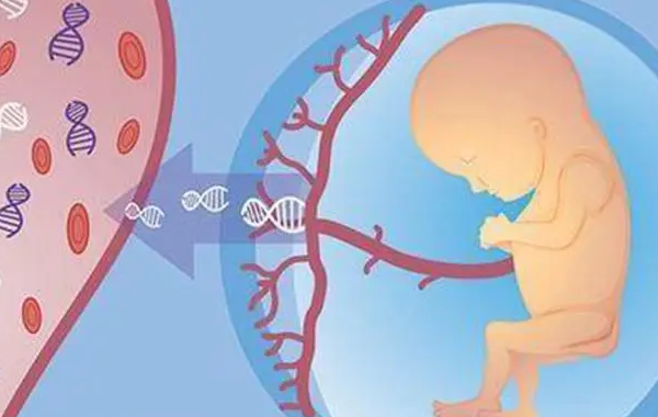 试管双胎做无创DNA两次都失败要继续做吗?