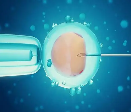 鲜胚移植是临床常见方式