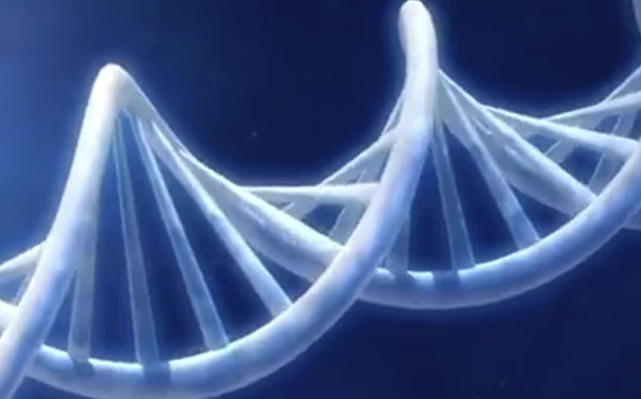 三代试管可以做基因检测