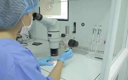 浙江哪里可以做第三代试管？先看这3类机构和避坑细节