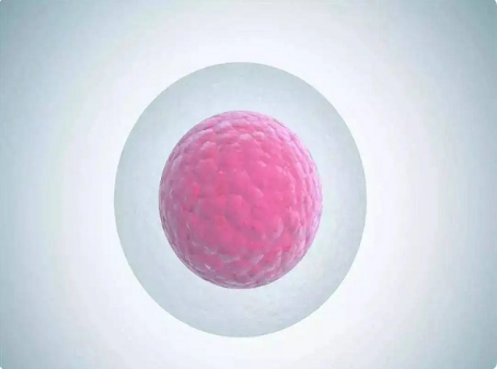 37岁深圳试管供卵代生做深圳试管婴儿的条件