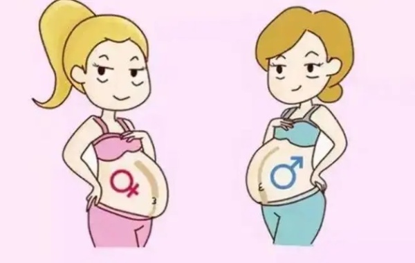 民间流传的77算法查男女结果准确吗？