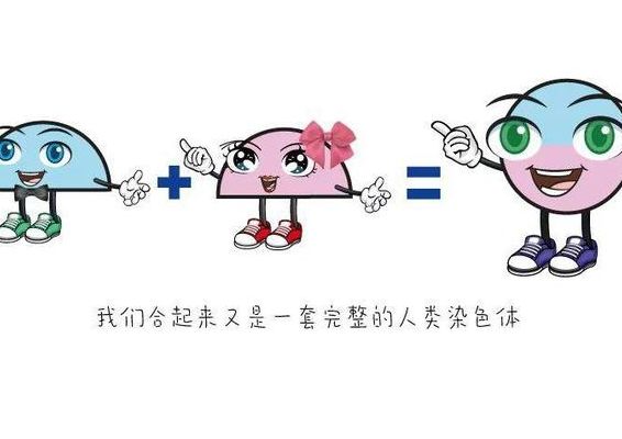 容易生儿子的女人特点揭秘！试管费用这5笔开销过来人帮你算清