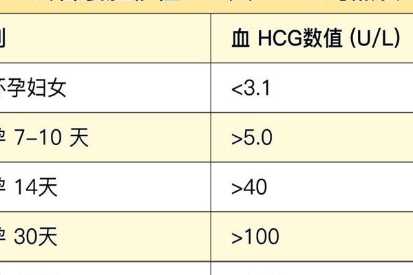 试管移植19天hcg多少正常？单次数值不是全部