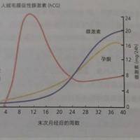 初期怀孕hcg值对照表：做试管要花多少钱？过来人帮你拆解每笔开销