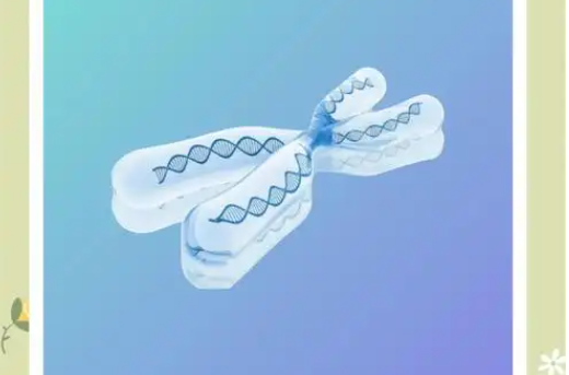 亲子鉴定费用各个机构有差异