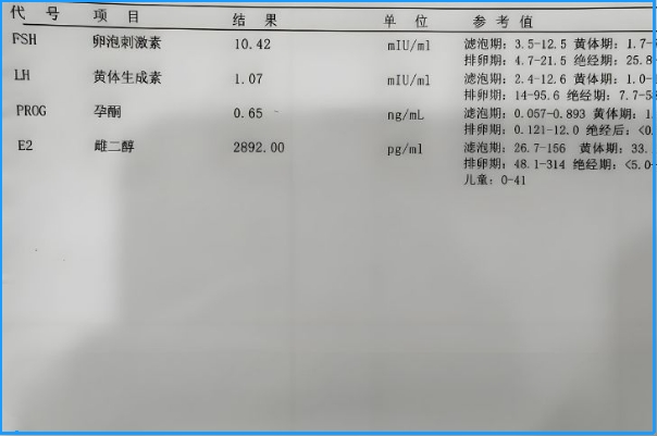  雌二醇无法直接反应胚胎质量