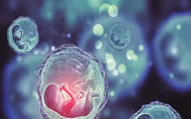 卵泡少能做三代试管 卵泡少能做三代试管