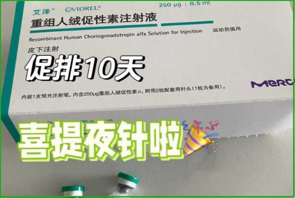 艾泽可以促进卵泡的健康发育