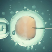 试管打排卵针到移植胚胎这期间需要全程住院吗？