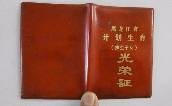 独生子女证各个地区政策有差异