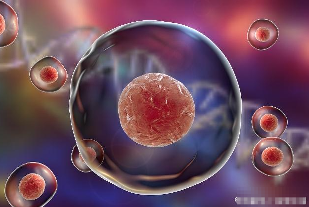 取卵取精最好同一天