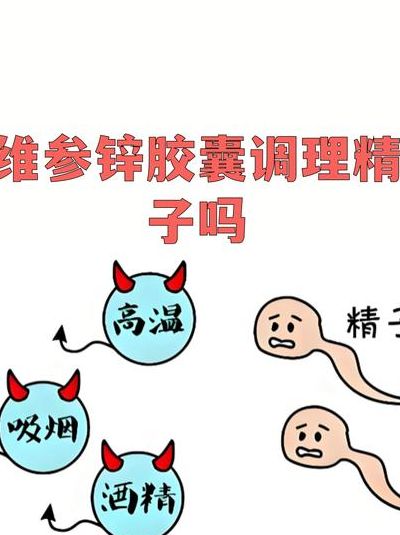 男人备孕需要怎么调理身体？先改这3个习惯，精子质量会说话