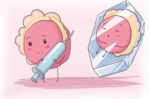 试管婴儿通常选择哪种胚胎进行移植？