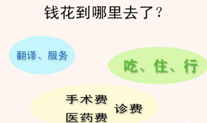 海外做一次试管需15万