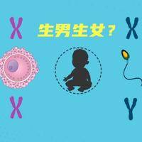 三胎生男孩的成功经验：为什么成了热门话题？