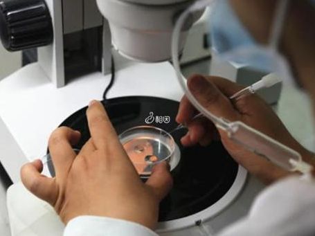 格鲁吉亚做试管怎么做？两次行程加上这份避坑提醒就够