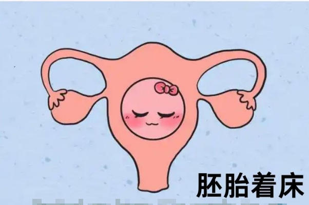 试管移植第二十天了还没着床可能失败了