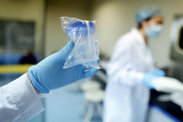 精子价格因个人喜好而不同