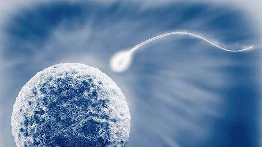 影响胚胎移植成功的因素有哪些？.jpg