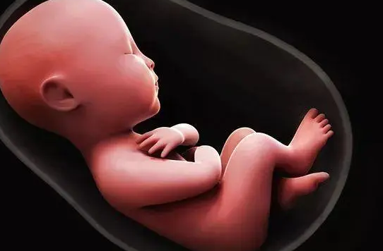 一代试管可能会出现移植嵌合性胚胎