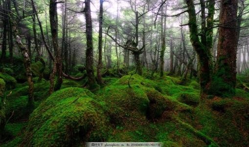 遥林静里头像