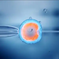 美国试管婴儿成功率多少？近5年数据揭秘与个人心得分享