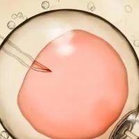 做试管婴儿要准备些什么？34岁小周第二次进周才明白