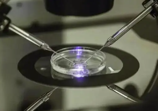 三代试管胚胎筛查技术