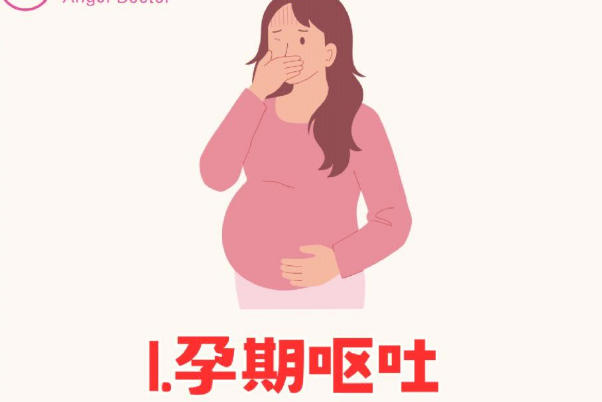 怀孕后会发生妊娠孕吐