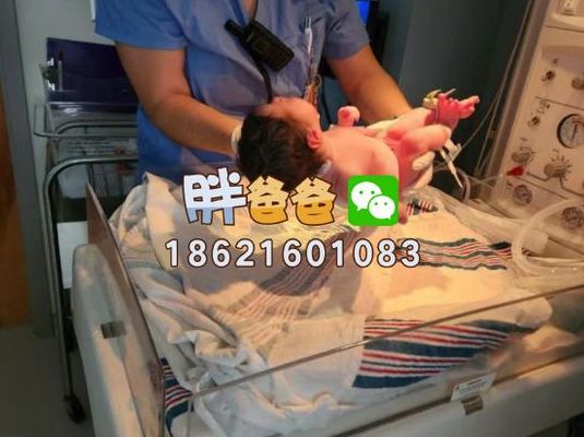 俄罗斯试管哪个医院好点？小周三次促排后的答案