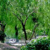 试管婴儿交流群用户头像