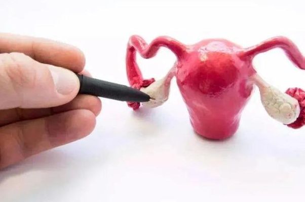 闭经可以做试管婴儿吗多少钱？费用价格明细过来人梳理5笔开销