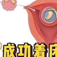 移植胚胎后如何提高着床成功率？做好这几点比干躺着有用