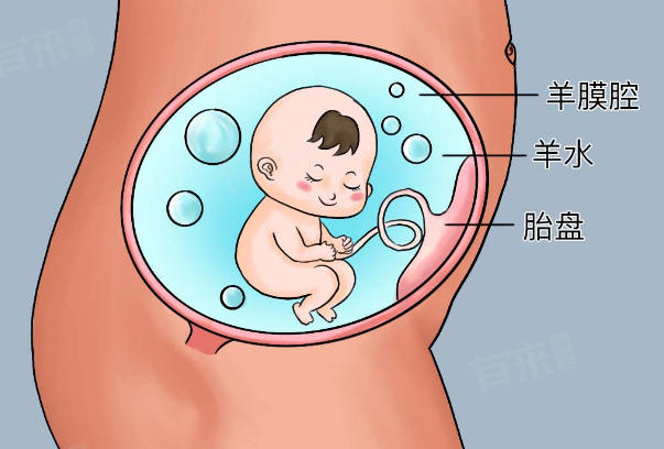 羊水变化可以反应胎儿发育情况