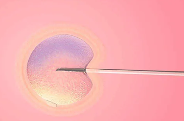 试管三代一定是囊胚移植吗?那种胚胎移植好?