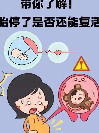 为什么试管宝宝容易胎停？三个关键原因别忽视